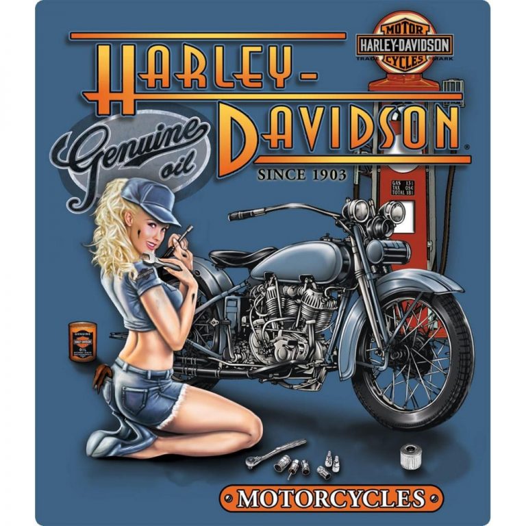 Idées cadeaux pour fans de Harley-Davidson - Chicks And Machines