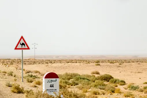 Chameau signalisation