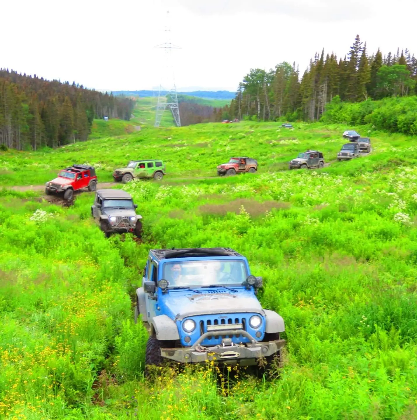 Jeep off road