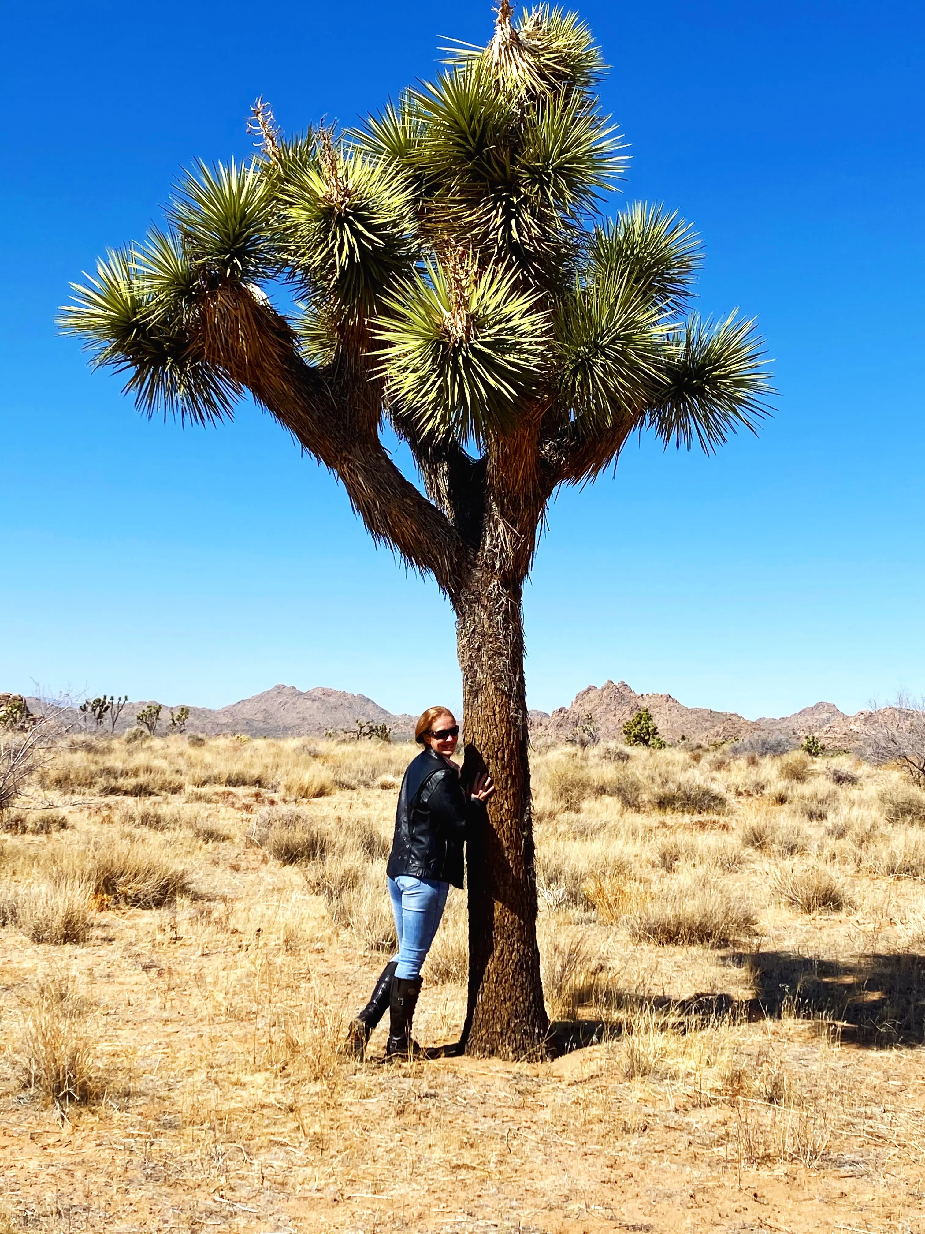 Joshua Tree