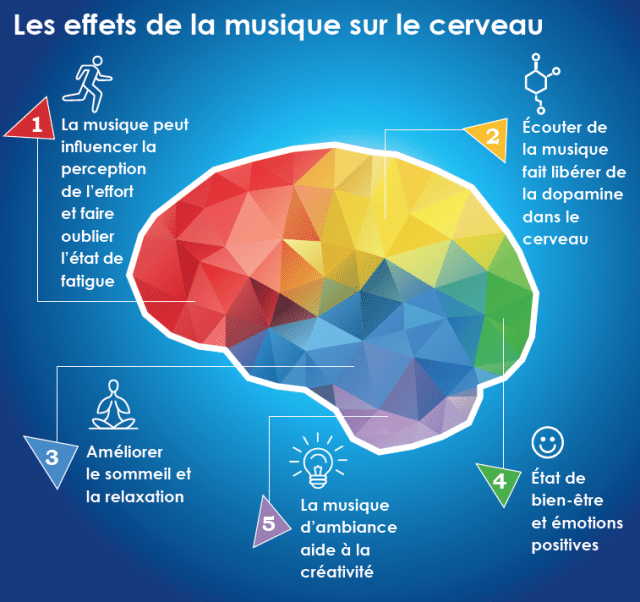 Ta playlist Chicks And Machines pour tes vacances! 40 Les effets de la musique sur le cerveau. Source: https://www.polycliniquedeloreille.com/conseils-sante/musique-effets-cerveau