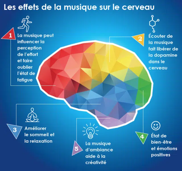Les effets de la musique sur le cerveau. Source: https://www.polycliniquedeloreille.com/conseils-sante/musique-effets-cerveau
