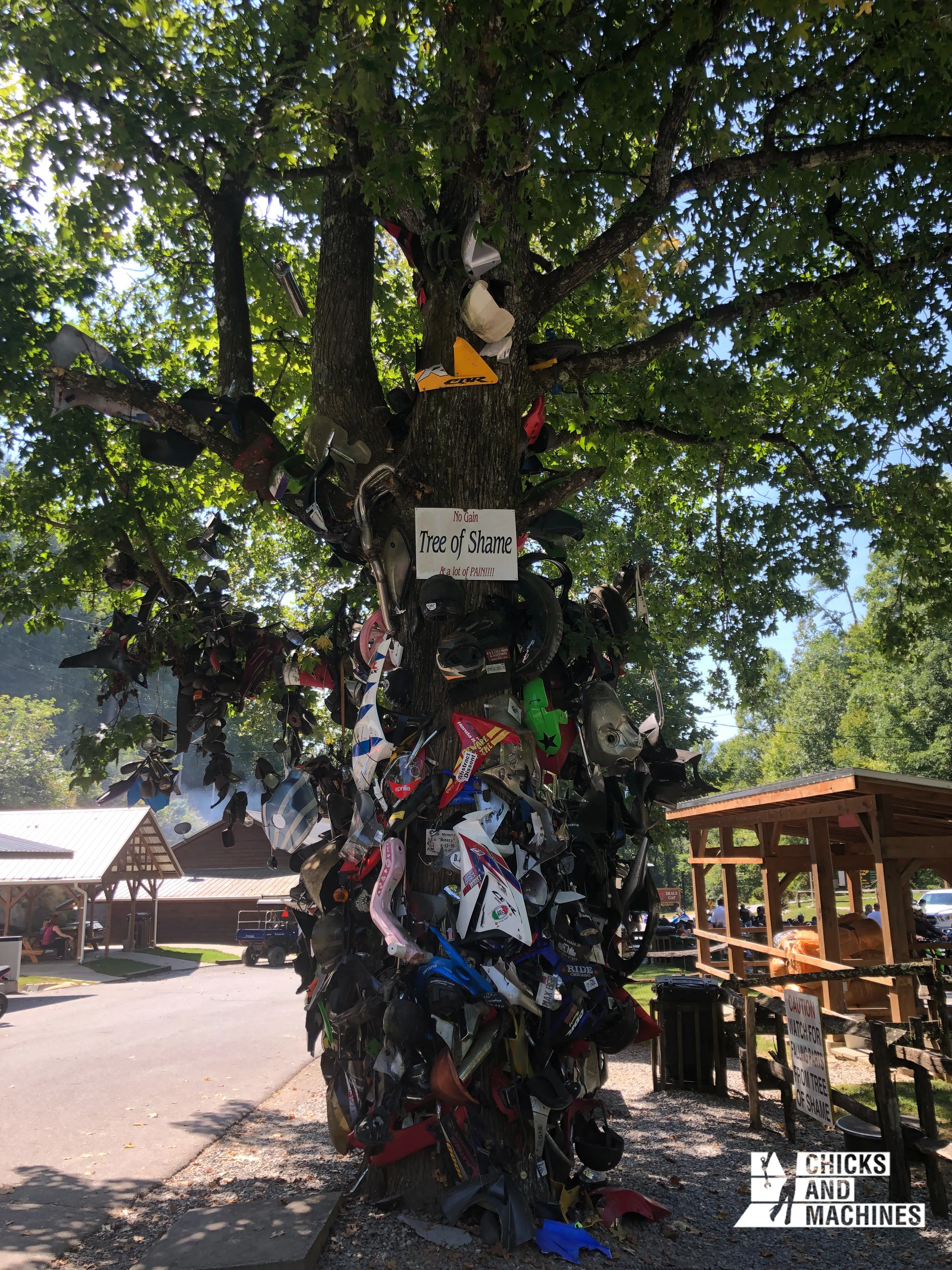 Le fameux Tree of Shame permet de récolter morceaux d’équipement résultant d’accidents