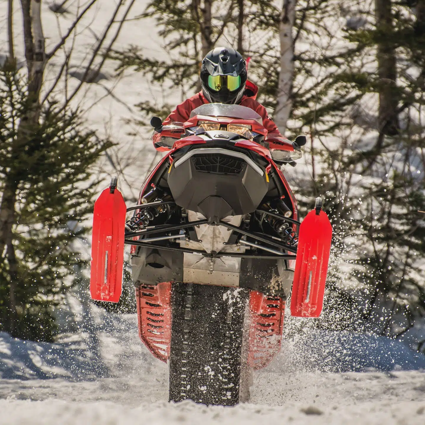Wheelie time! Wheelie time!