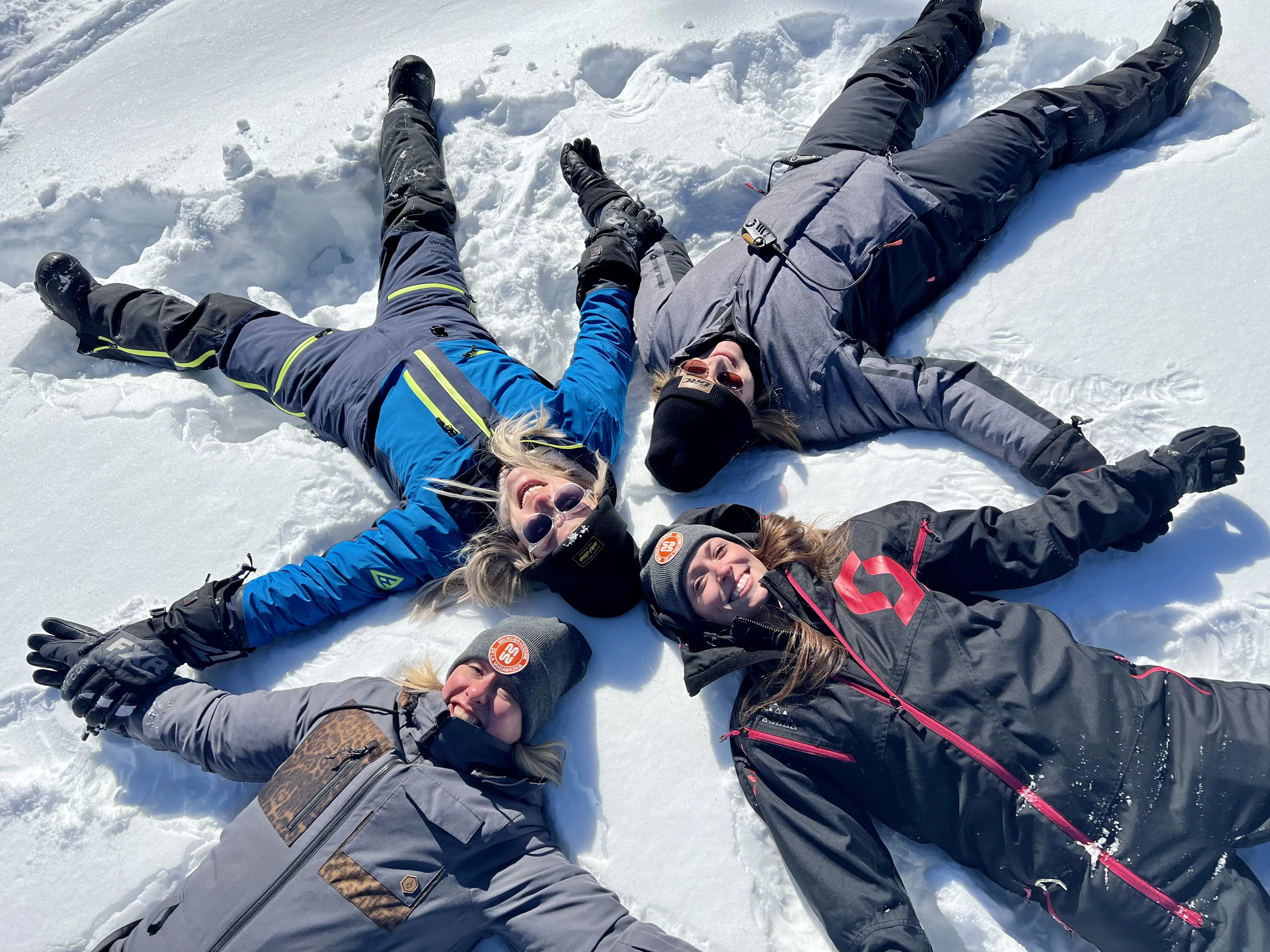 4 Chicks dans la neige