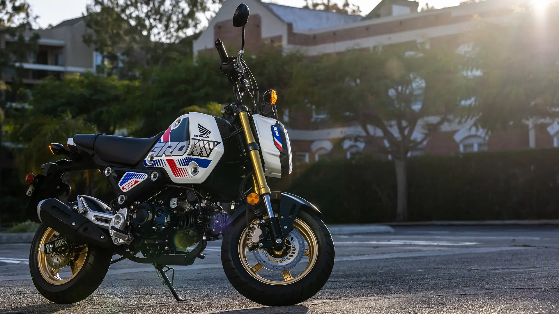 Honda Grom tricolore