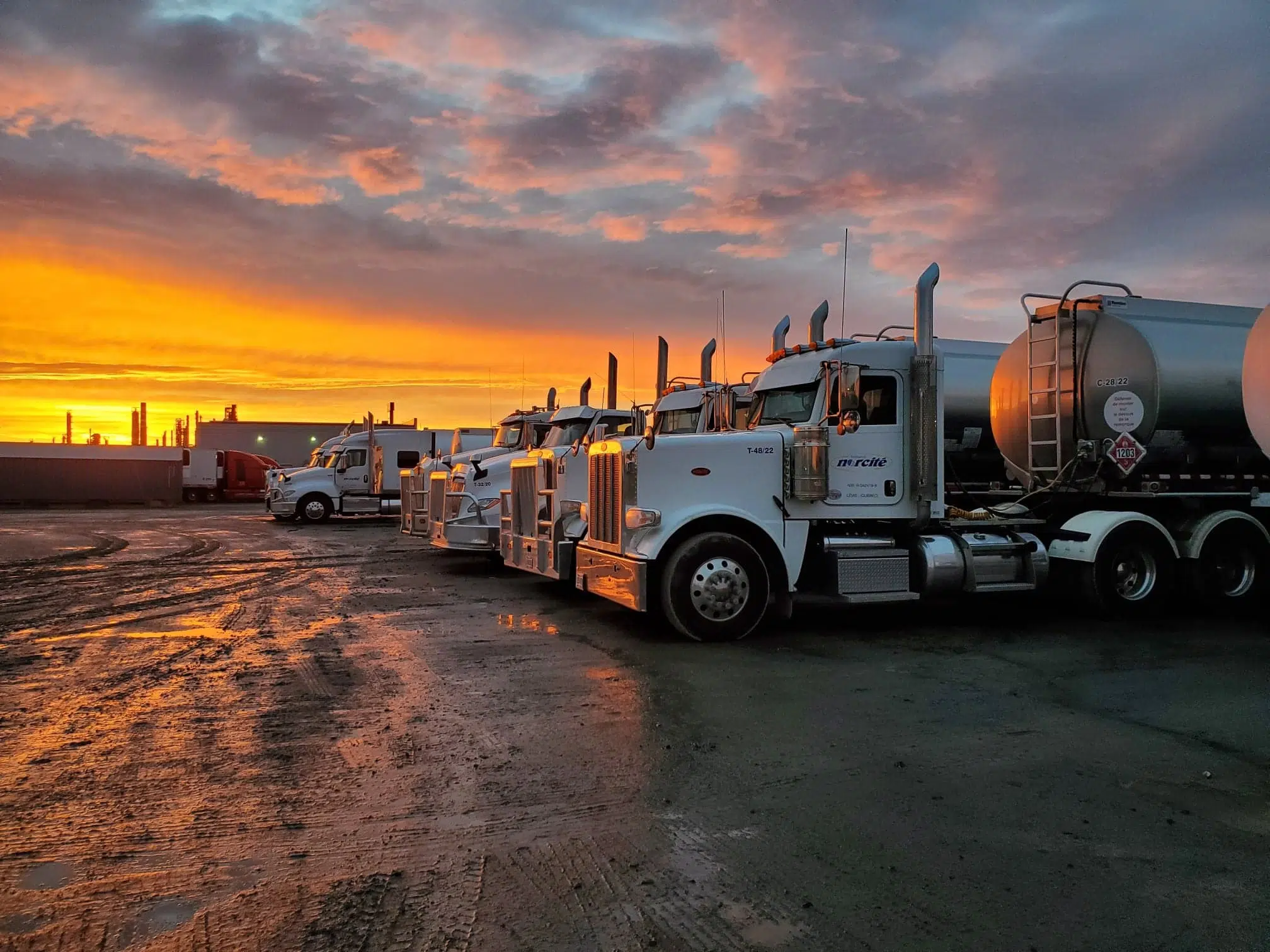 Flotte de poids lourds / truck float