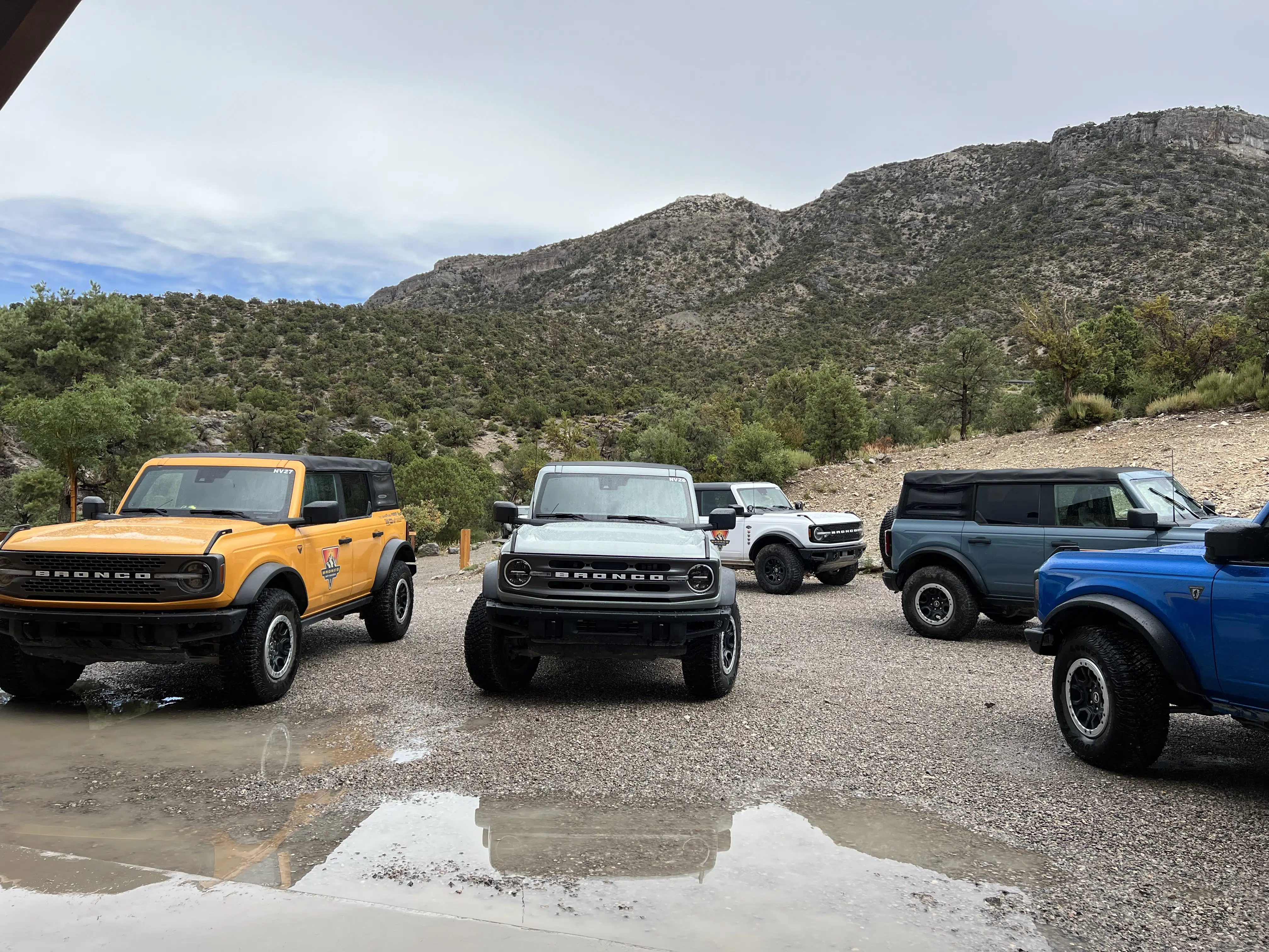 Ford Bronco Off Roadeo Las Vegas colors models