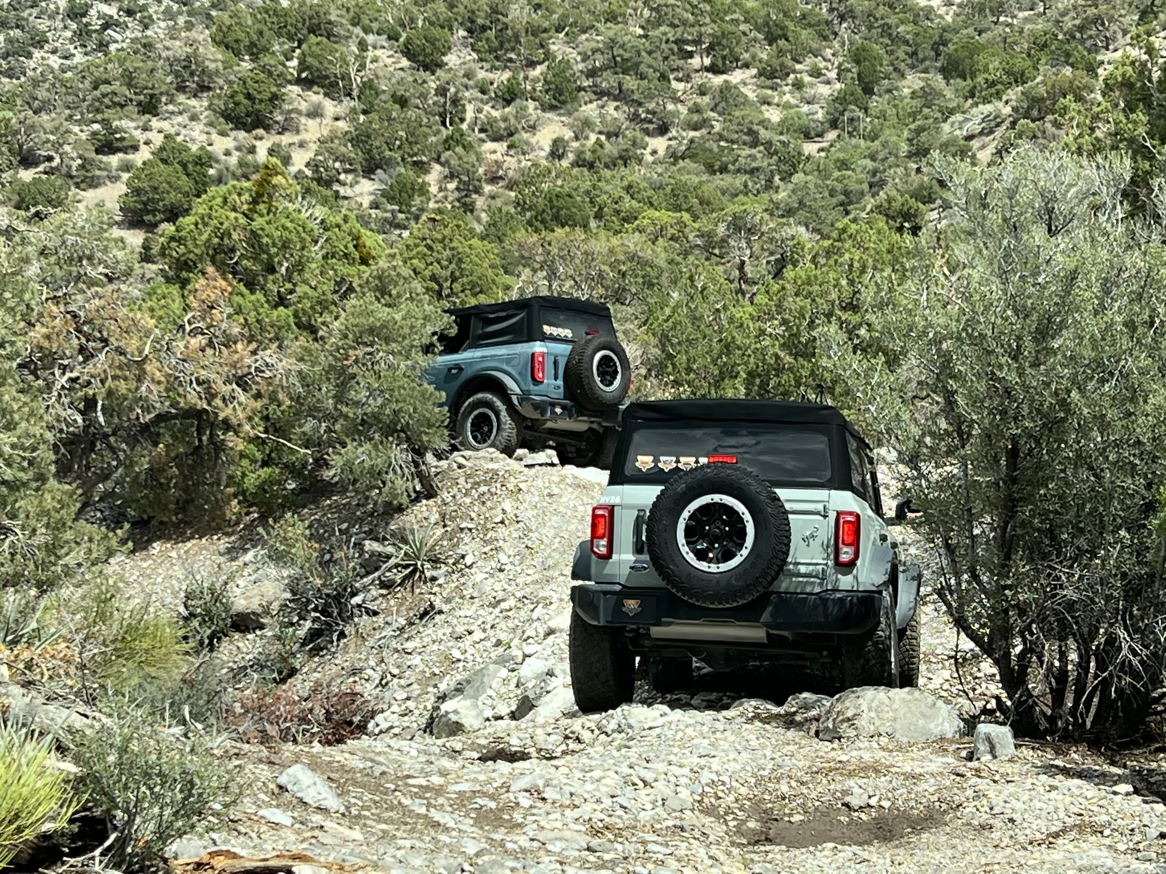 Ford Bronco Off Roadeo Mountains Rockies Rock Crawling