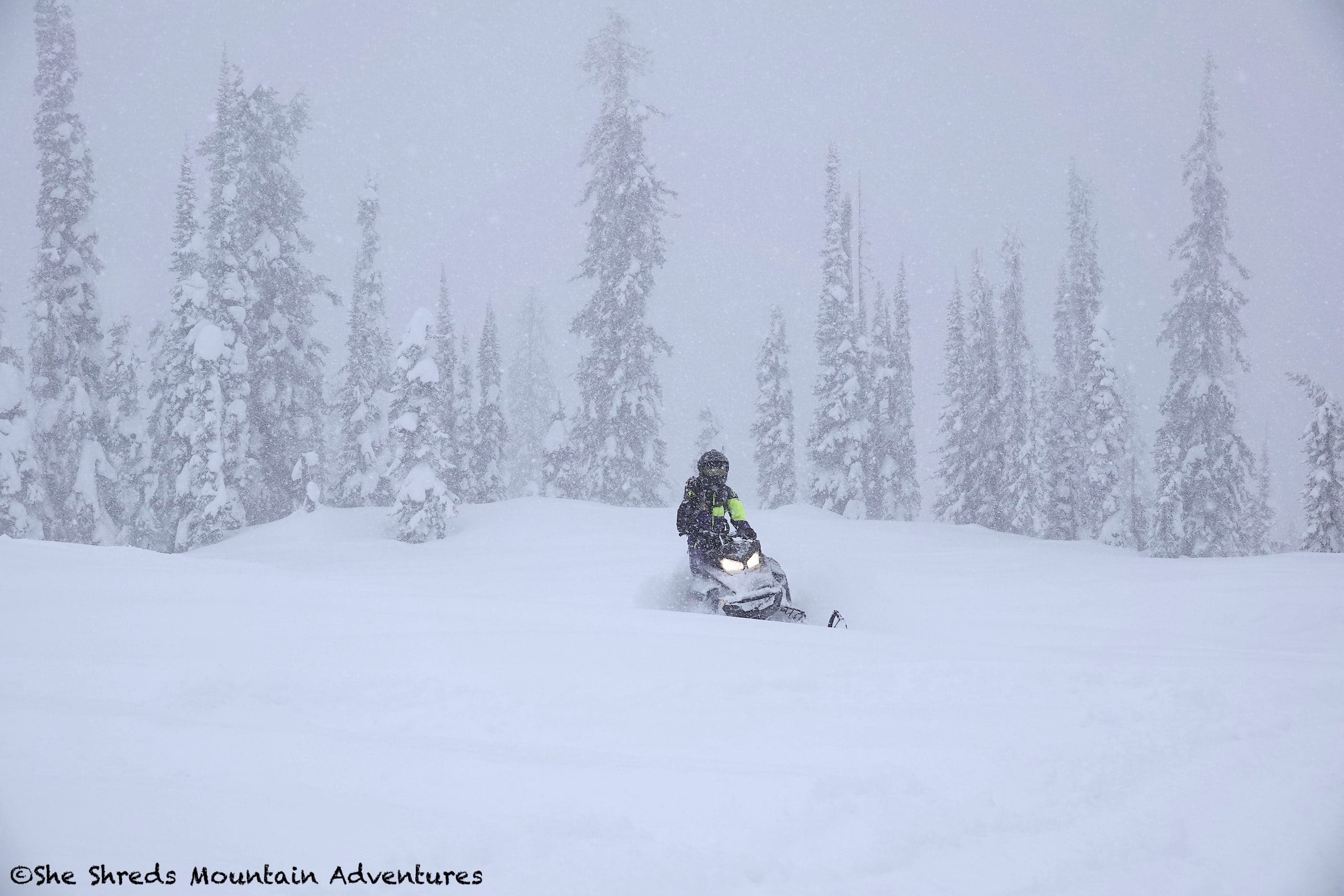 Sled Revelskoke BC snowstorm Crédit photo : She Shreds Mountain Adventure @sheshredsmountainadventures