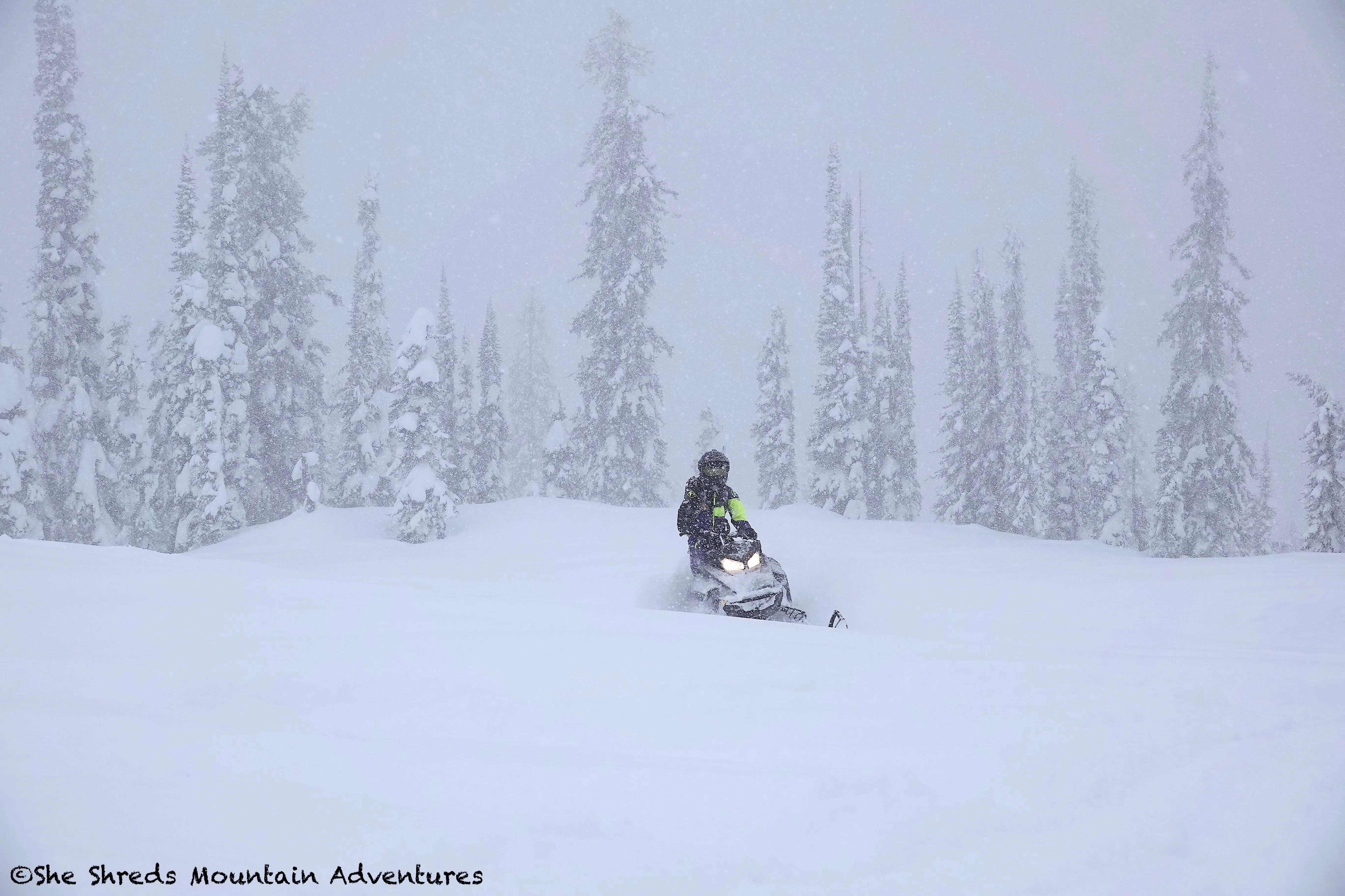 Sled Revelskoke BC snowstorm Crédit photo : She Shreds Mountain Adventure @sheshredsmountainadventures
