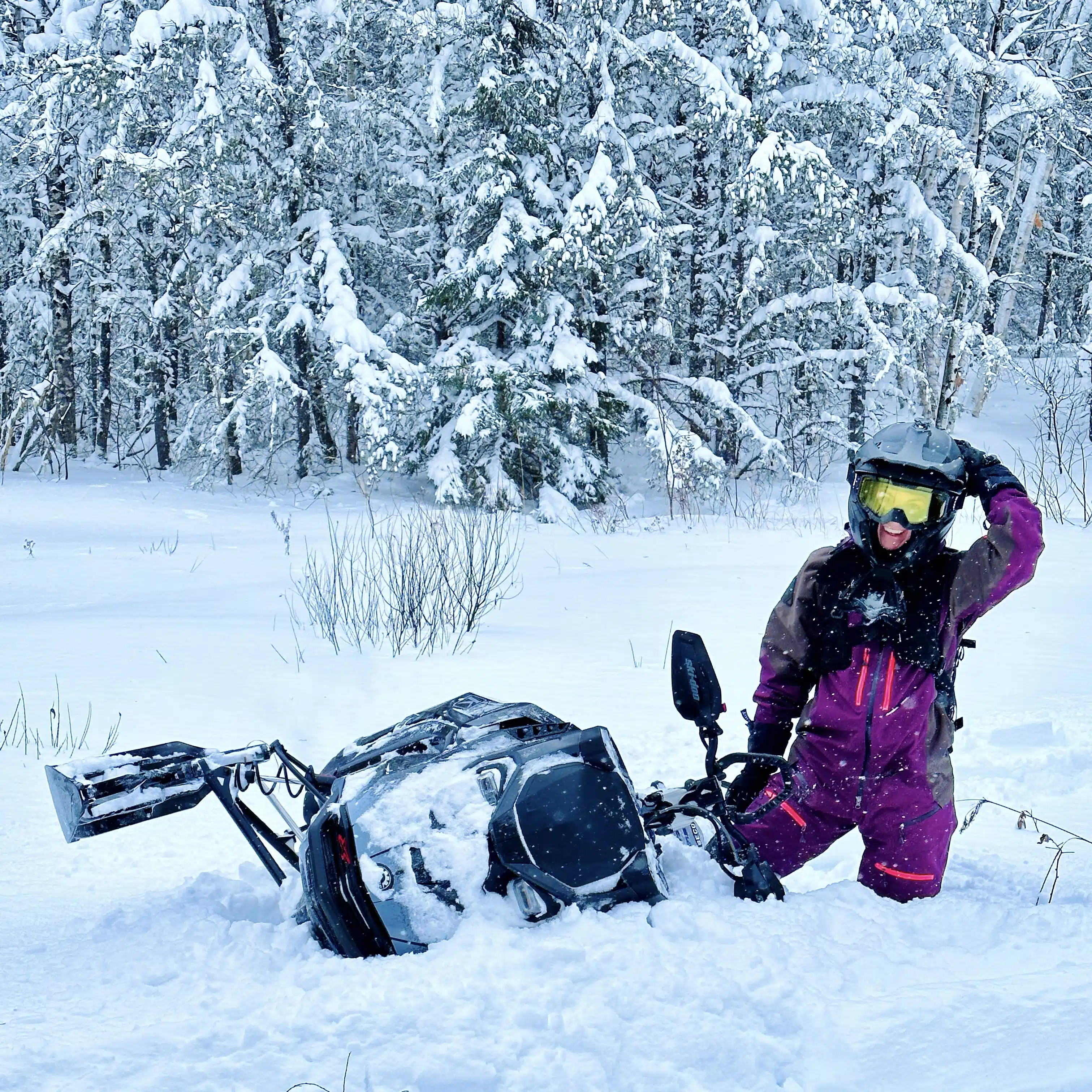 Il n’y a rien qui égale la première neige tombée de la saison!