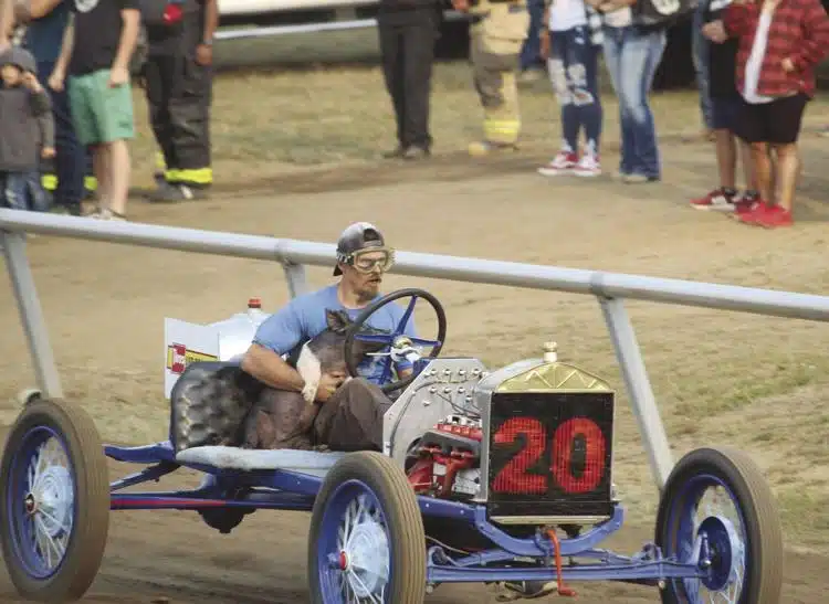 Pig N Ford races Photo Hilary Dorsey Headlight Herald