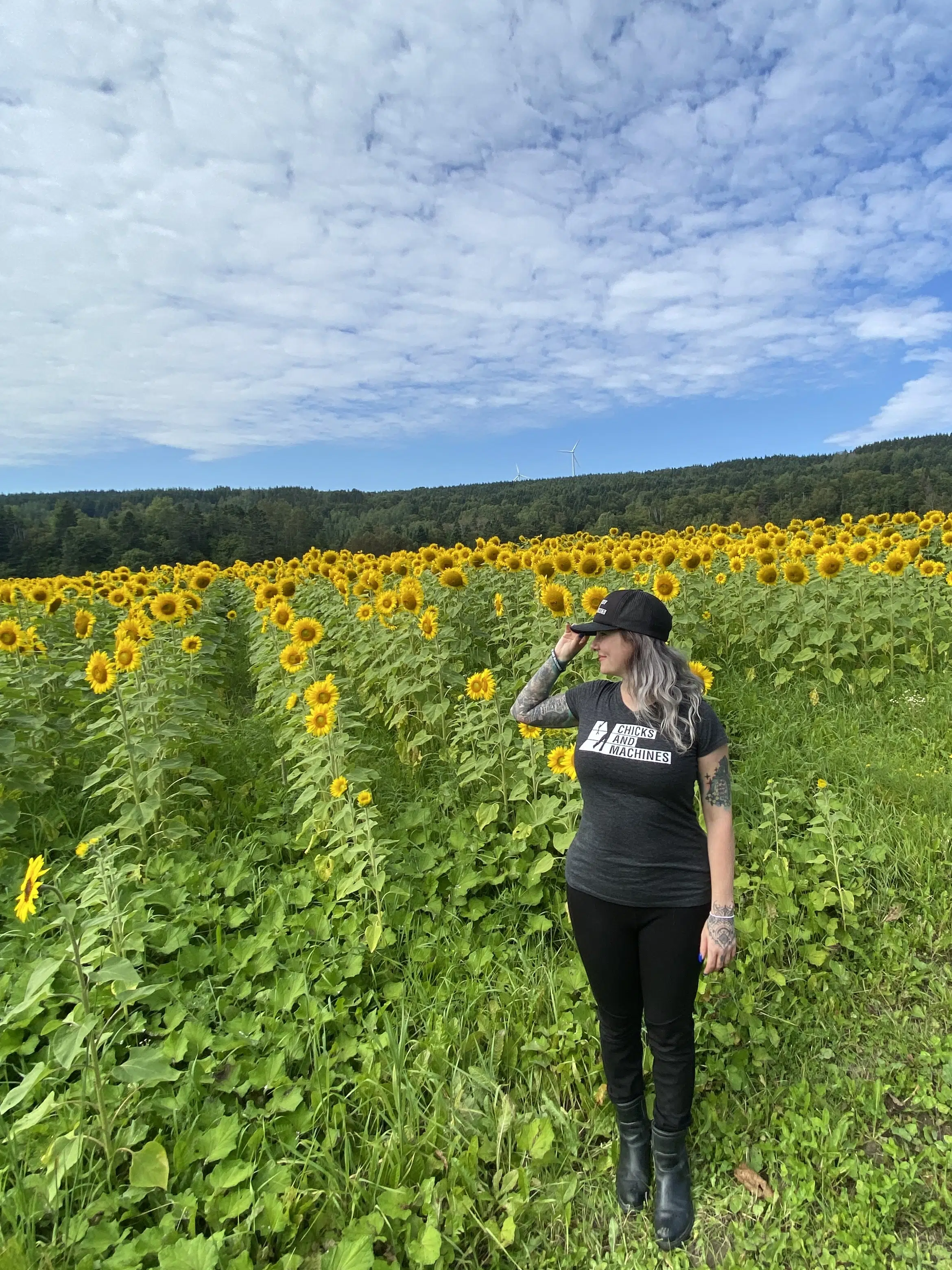 A bright field of sunflowers
