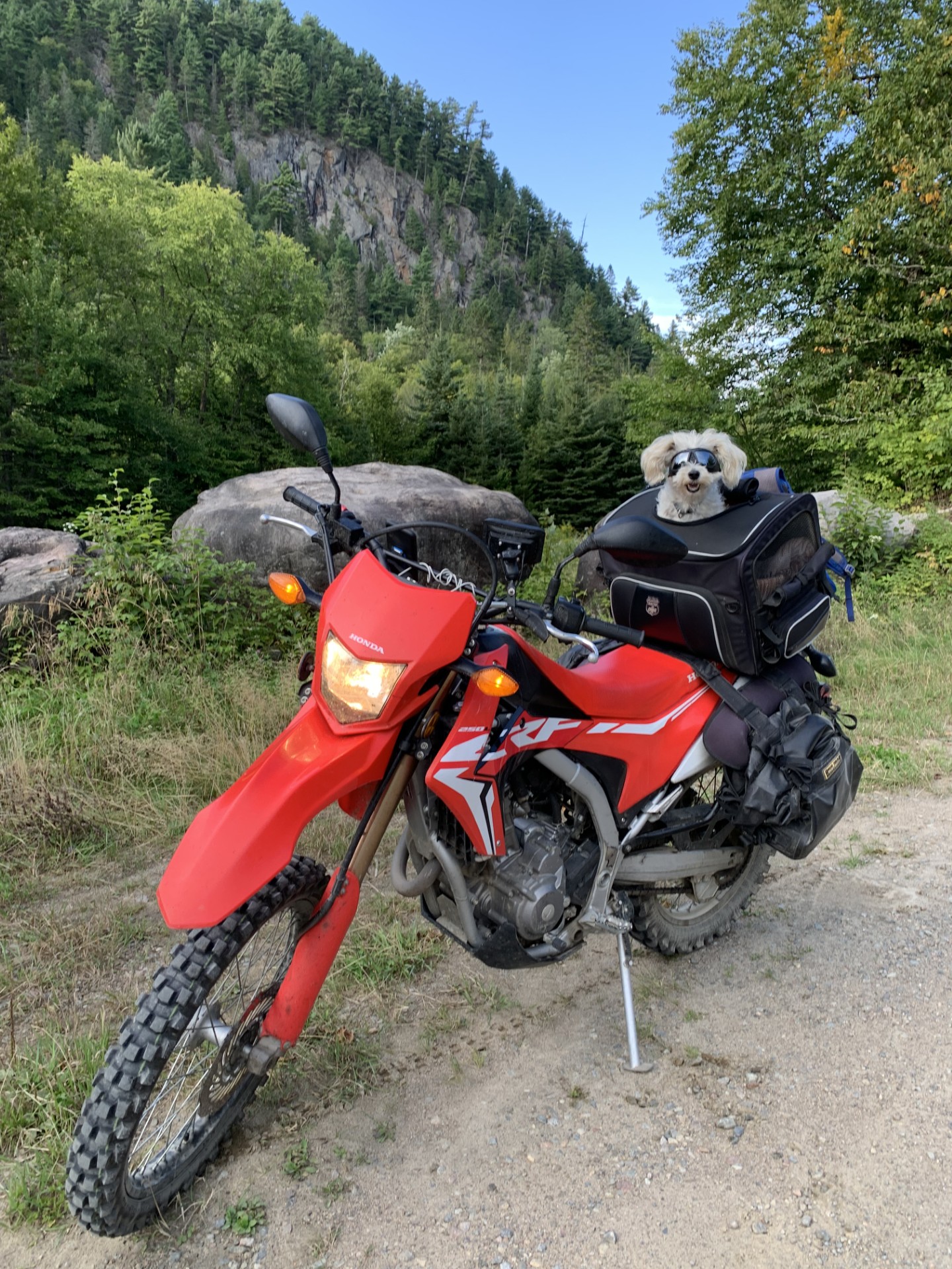 Un compagnon de voyage qui a de l'expérience! Un compagnon de voyage qui a de l'expérience!