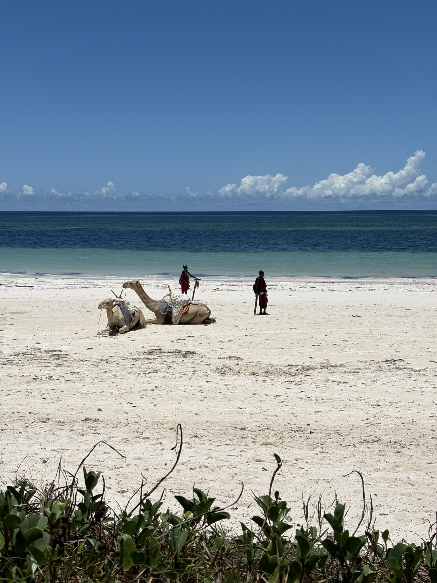 plage5