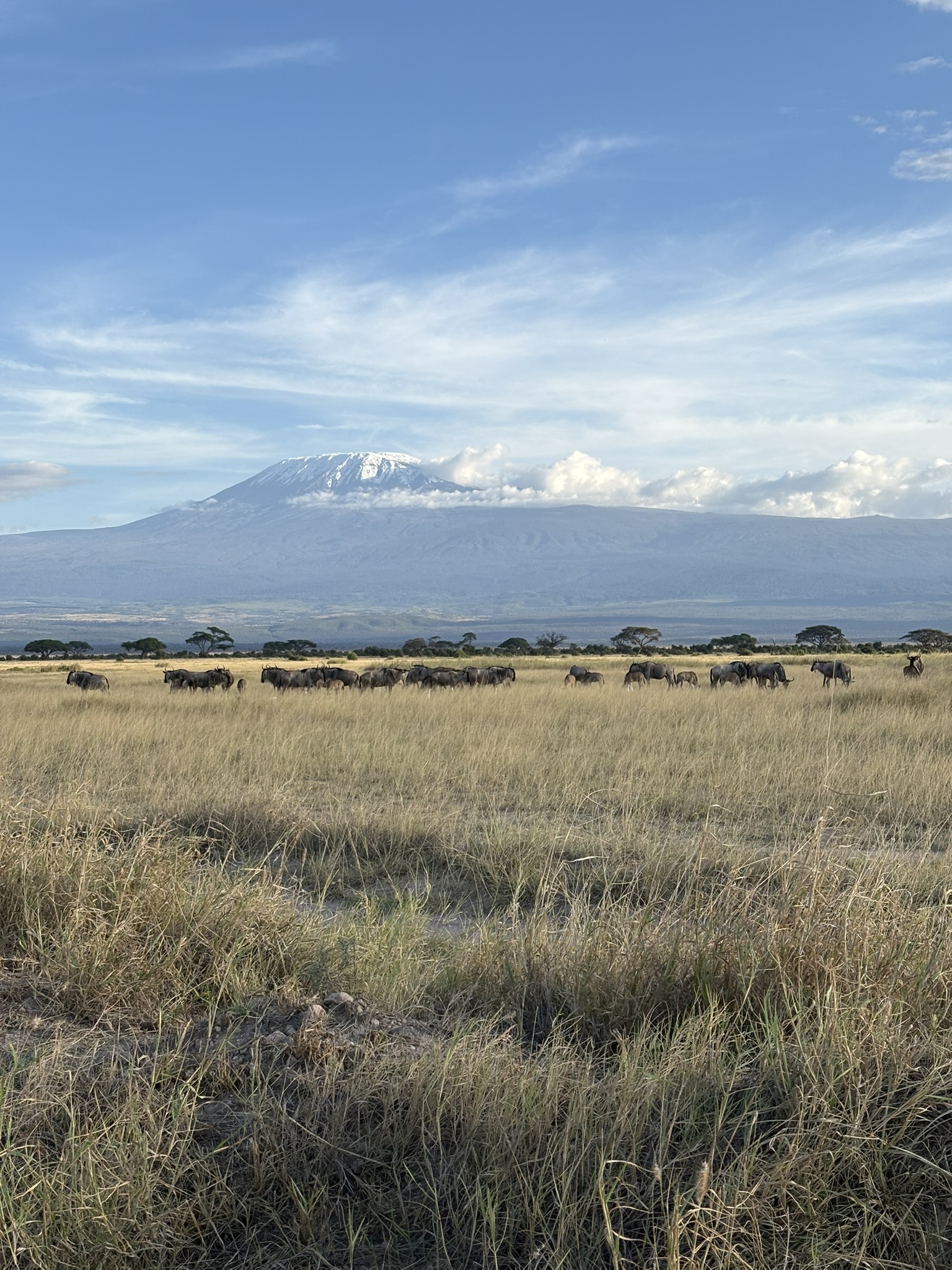 La présence du Kilimanjaro se fait sentir de loin