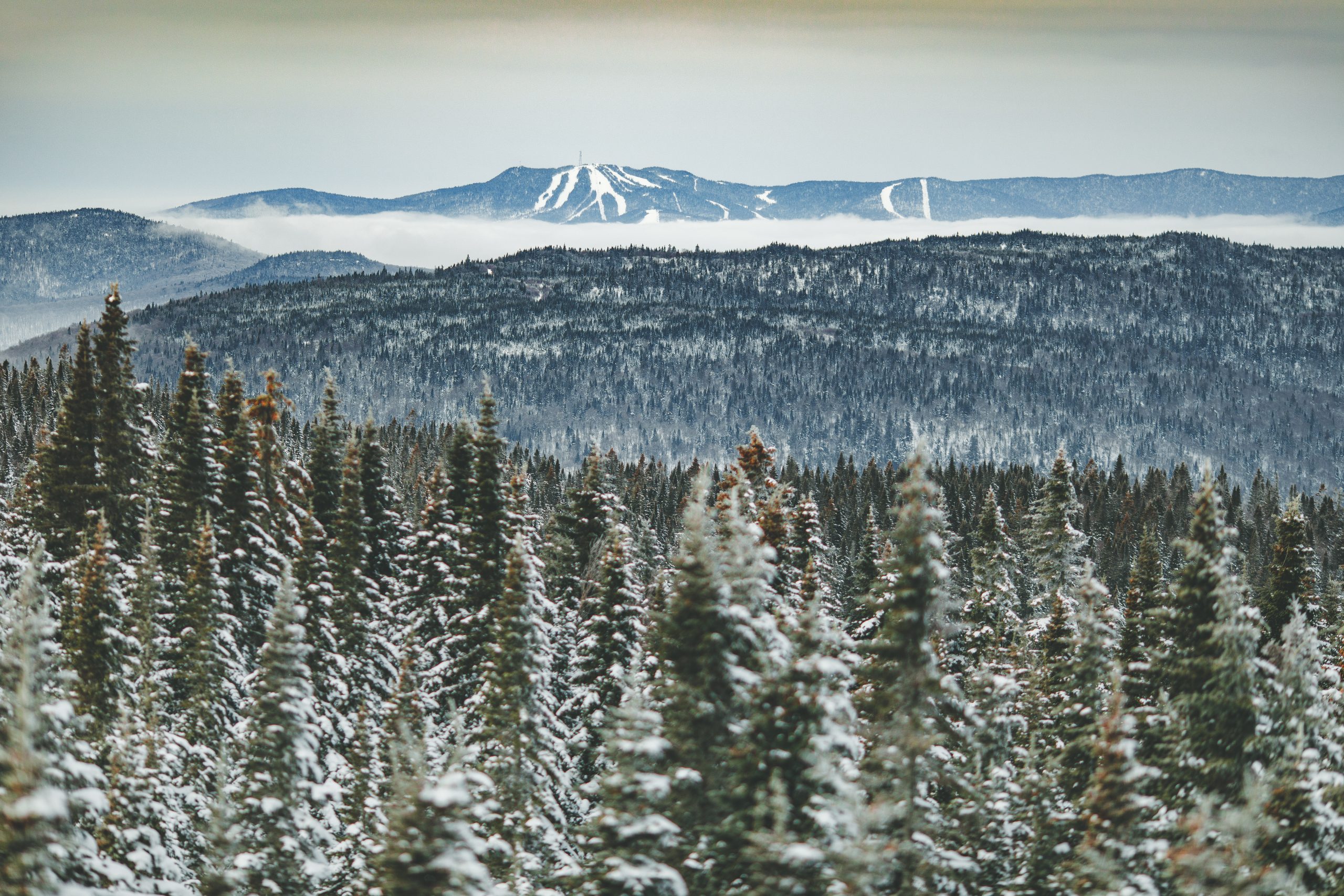 Une vue impressionnante à partir de la Montagne Noire
