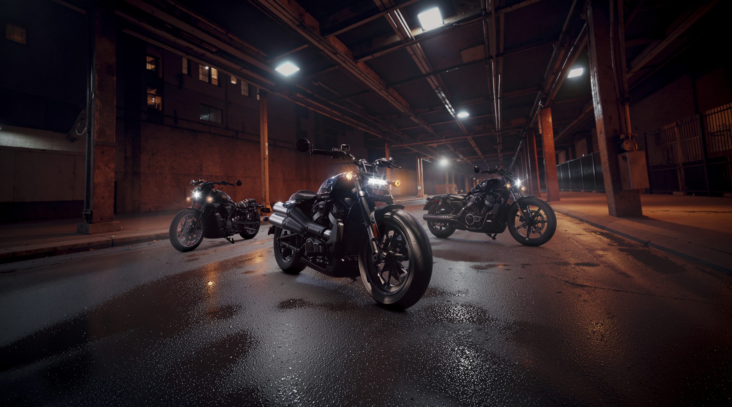 Nightster IMAGE 4 scaled