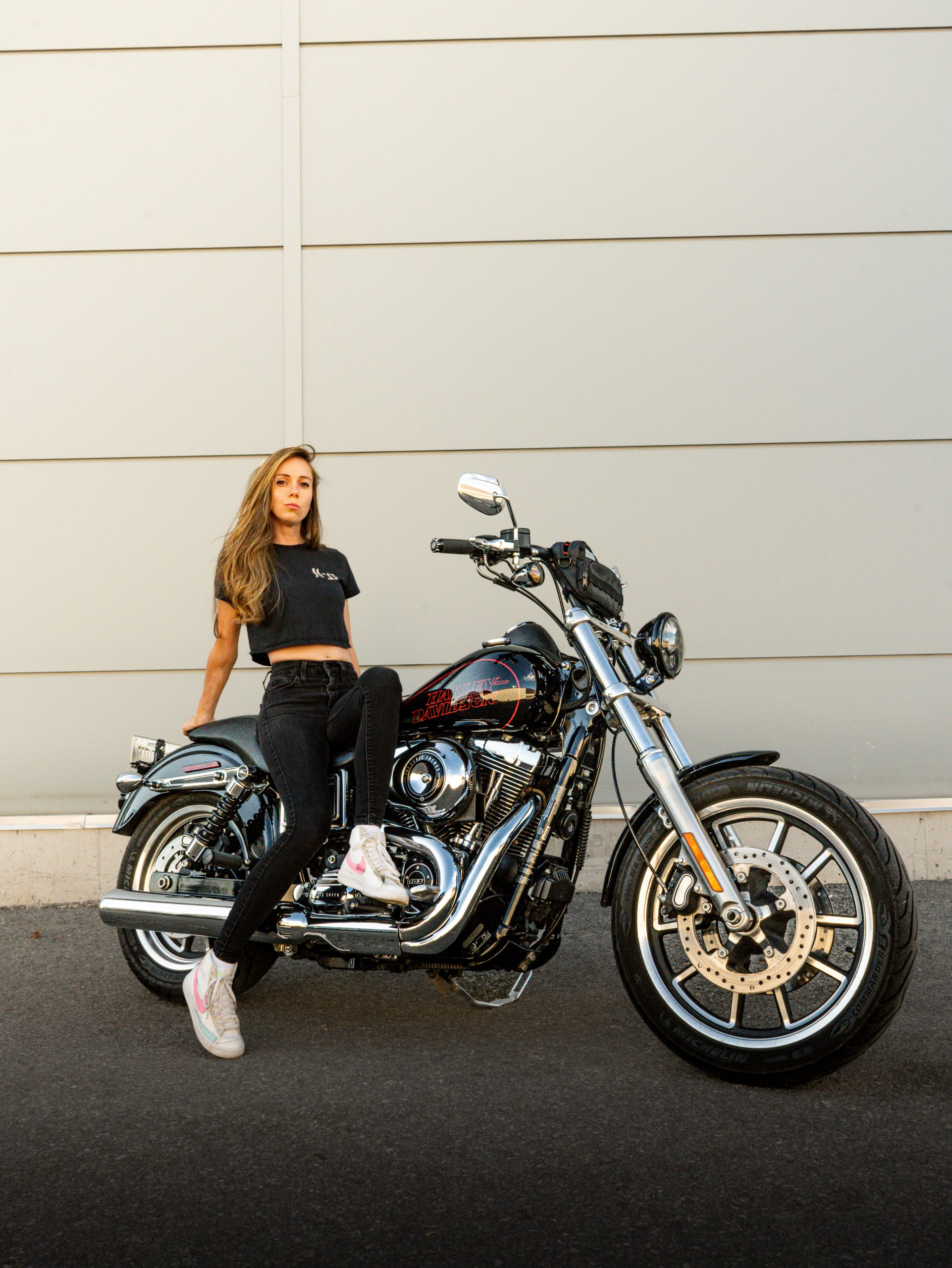 Dyna low rider. Magness medias. Dyna low rider. Magness medias.