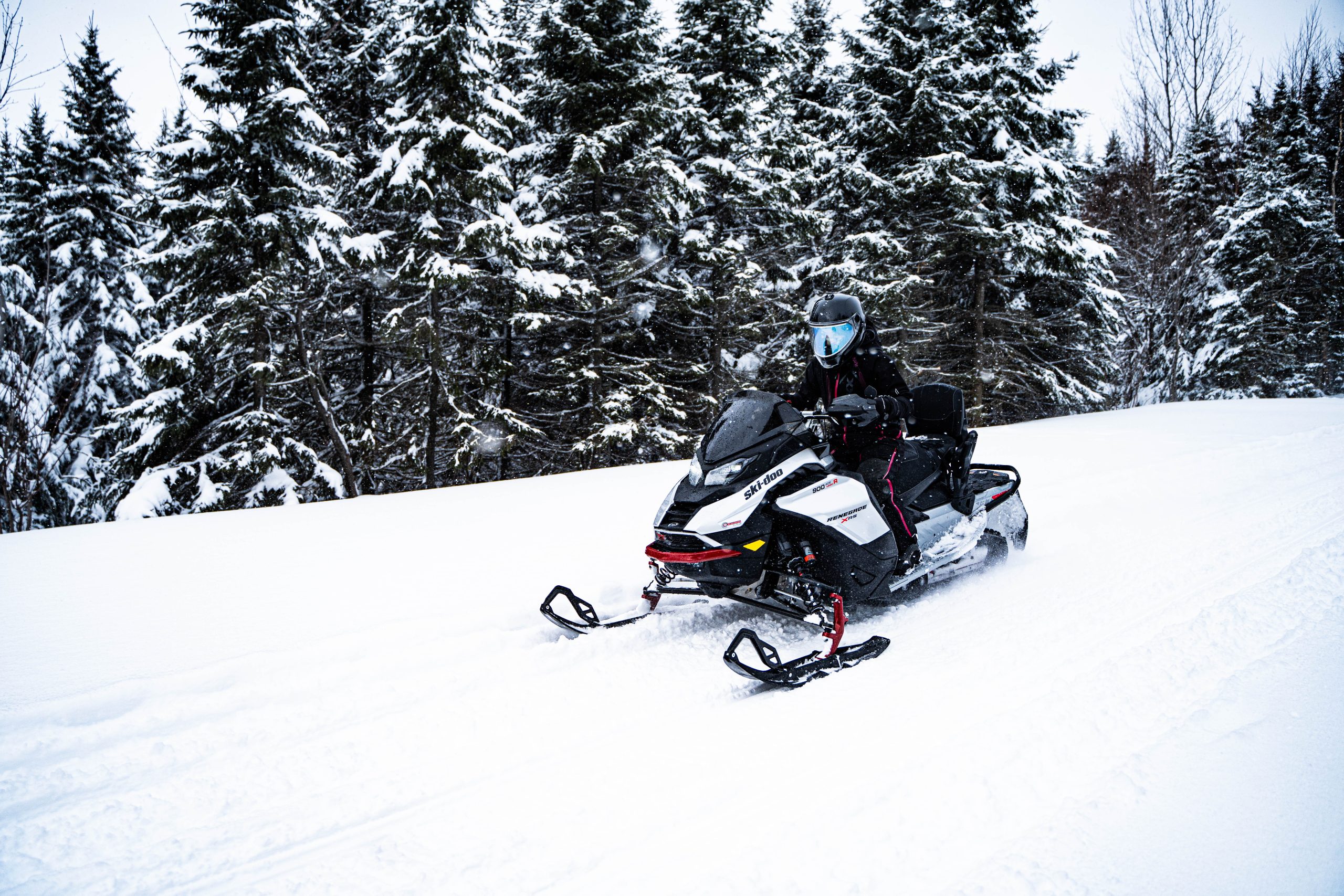 The best way to chase away the winter blues! The best way to chase away the winter blues!