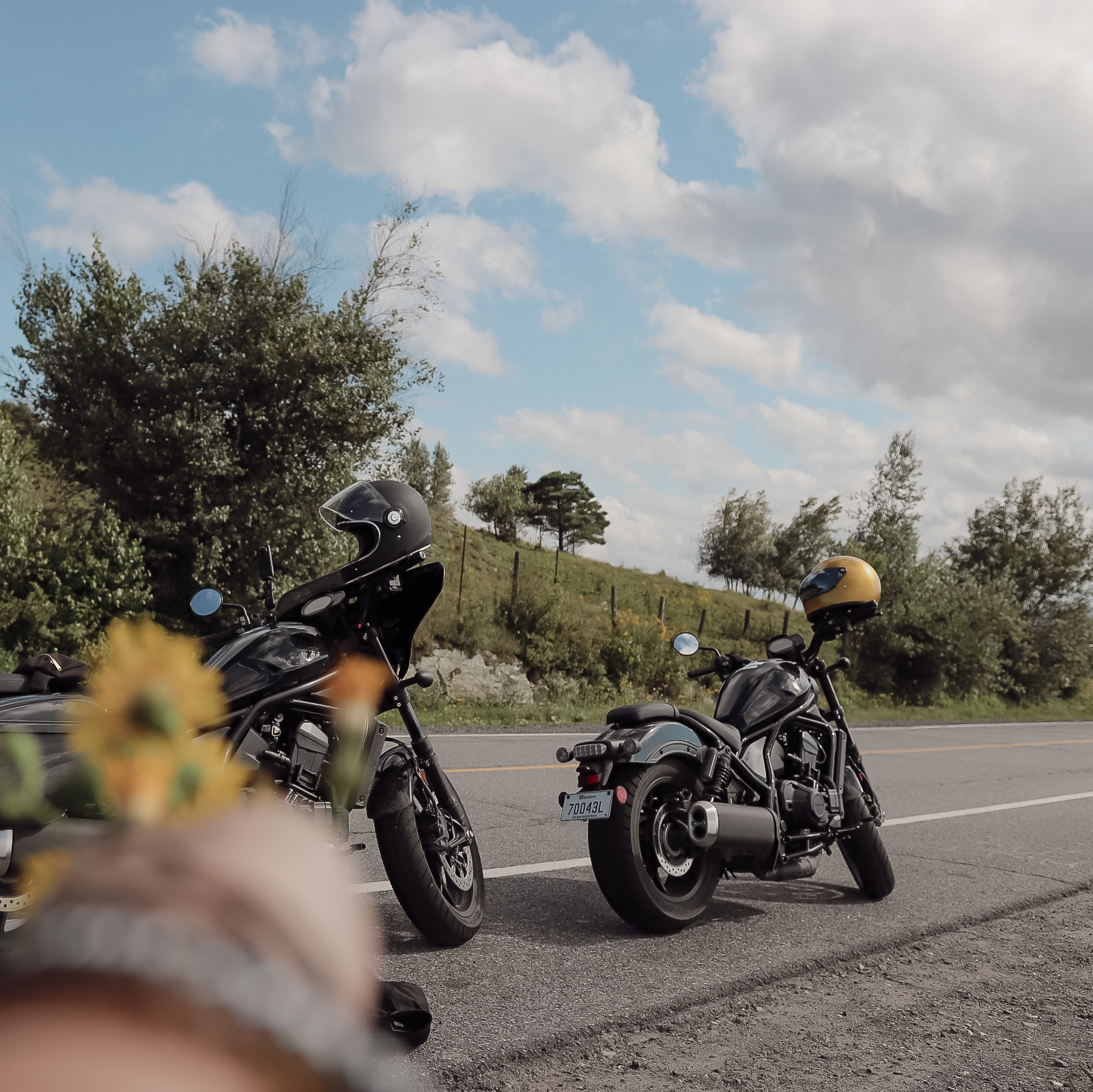 The Honda Rebel 1100 DCT is definitely a favorite!