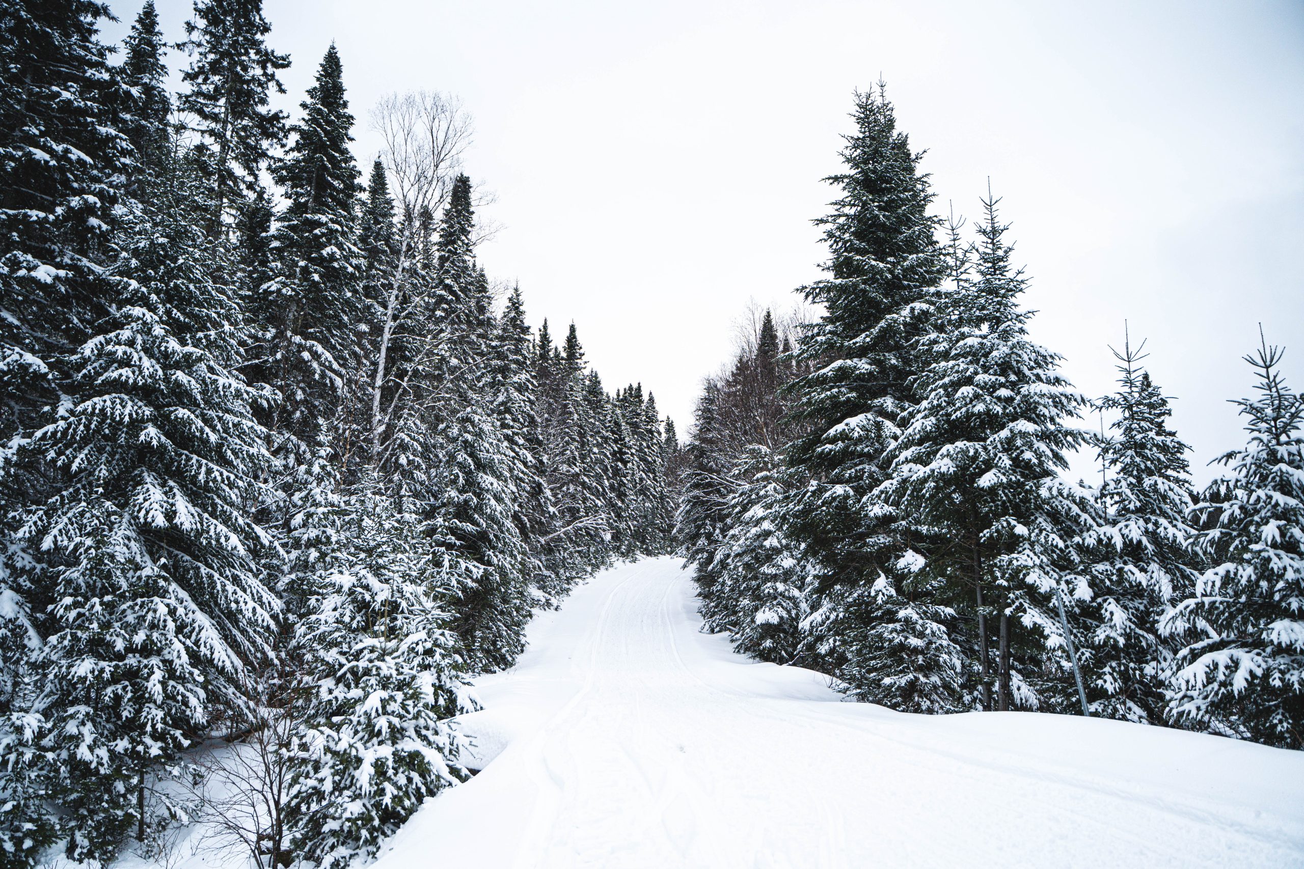 In New Brunswick, there's a lot of snow on the trails! In New Brunswick, there's a lot of snow on the trails!