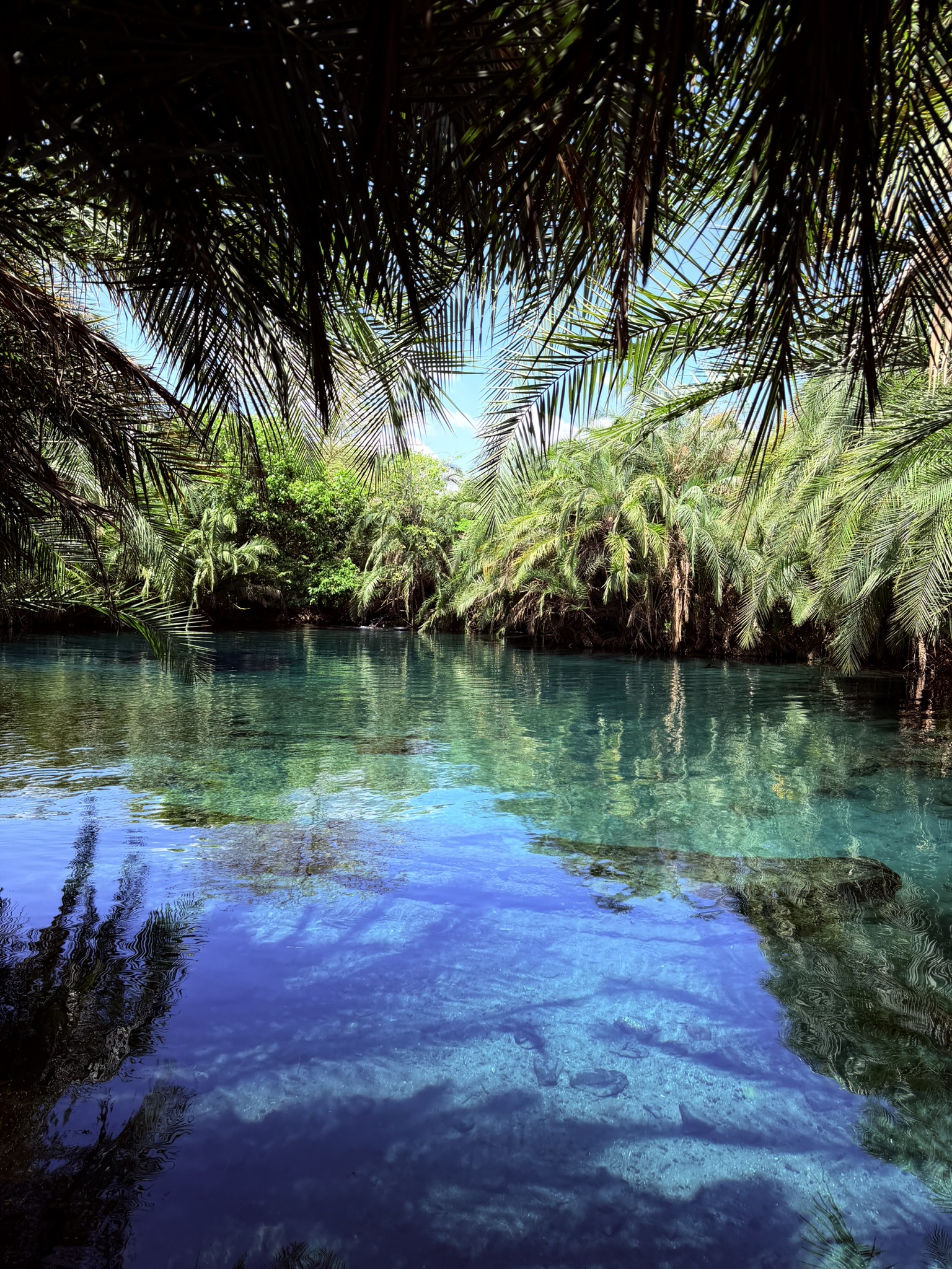 The water springs of Chemka are absolutely beautiful
