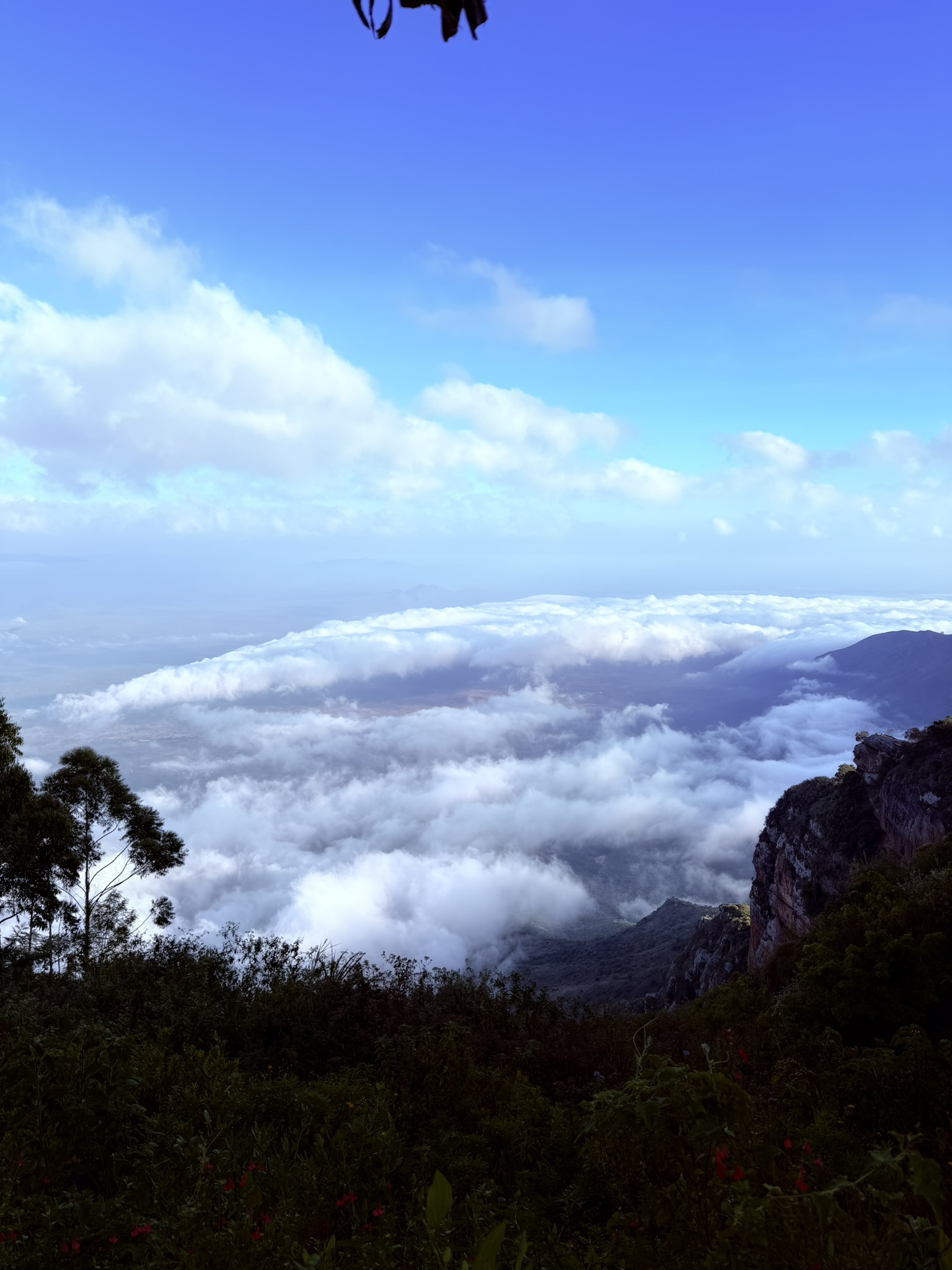 The tea plantation route offers breathtaking views