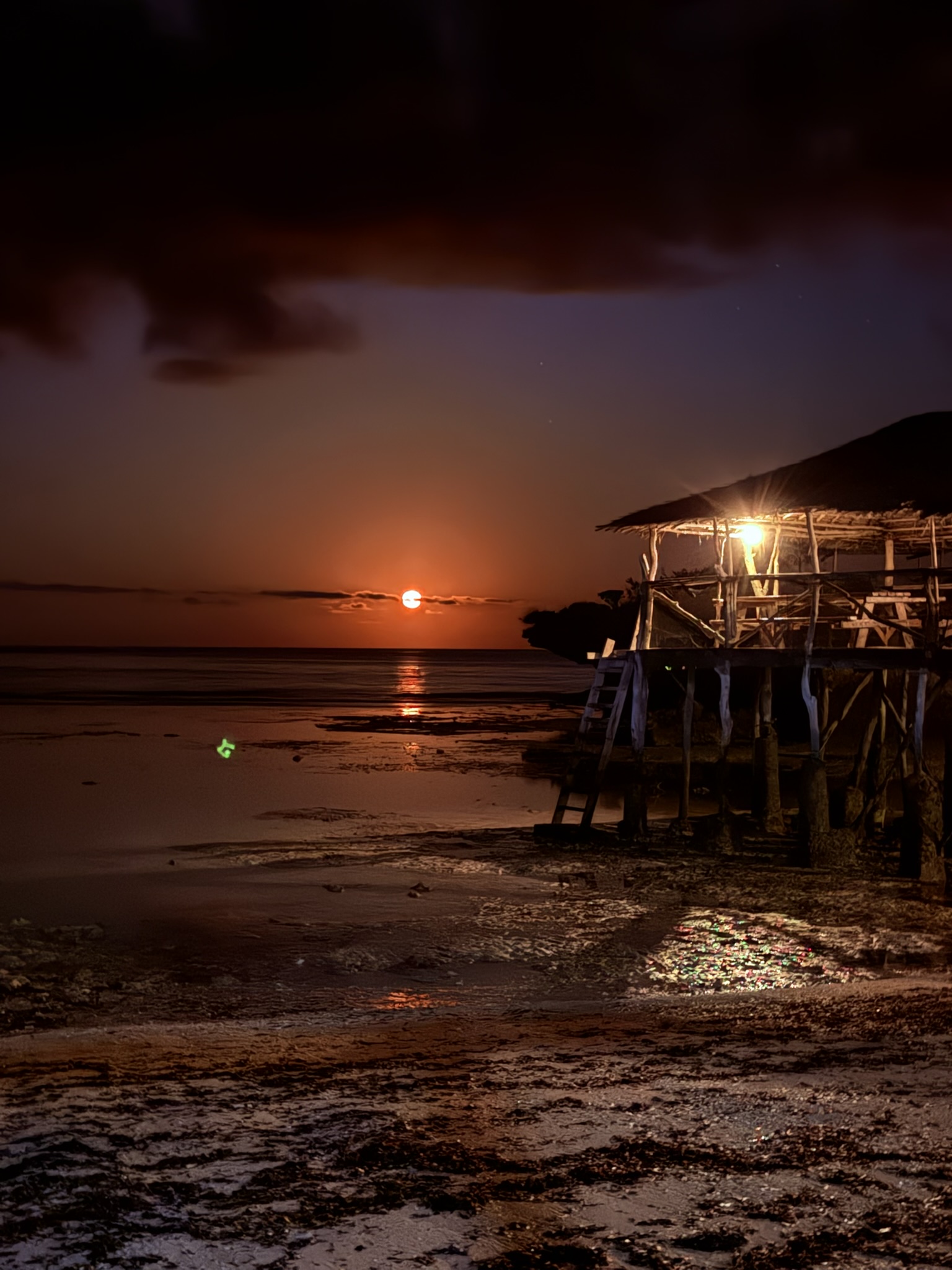 Fish Eagle Point: an oasis of calm and wild beauty